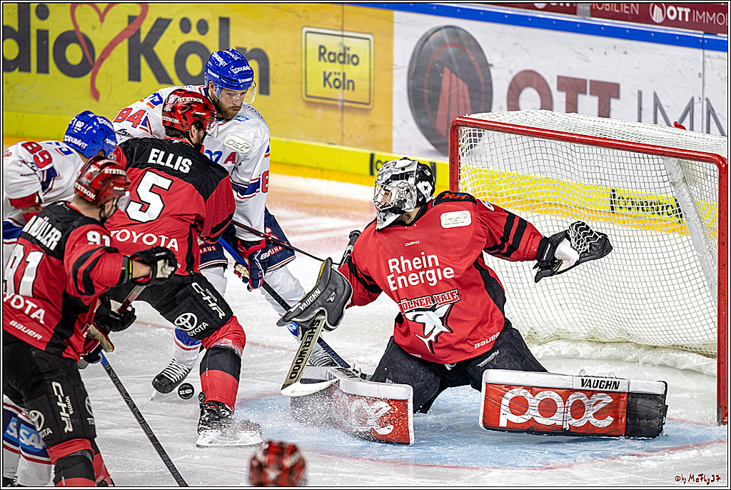DEL; Koelner Haie - Adler Mannheim, 05.04.2019